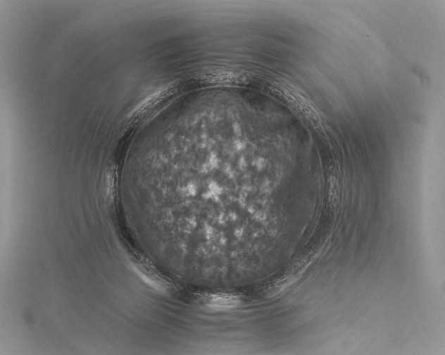 X0000115510165200911201646