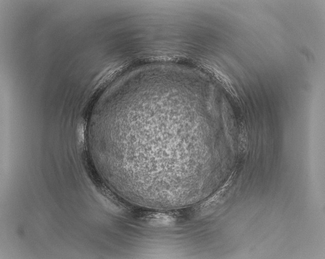 X0000115510166200911201646