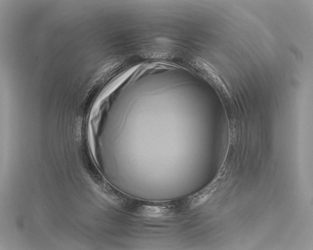 X0000115510167200911201646