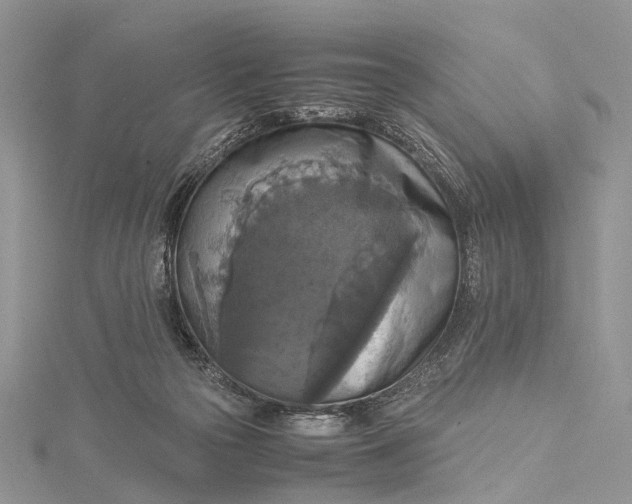 X0000115510169200911201646