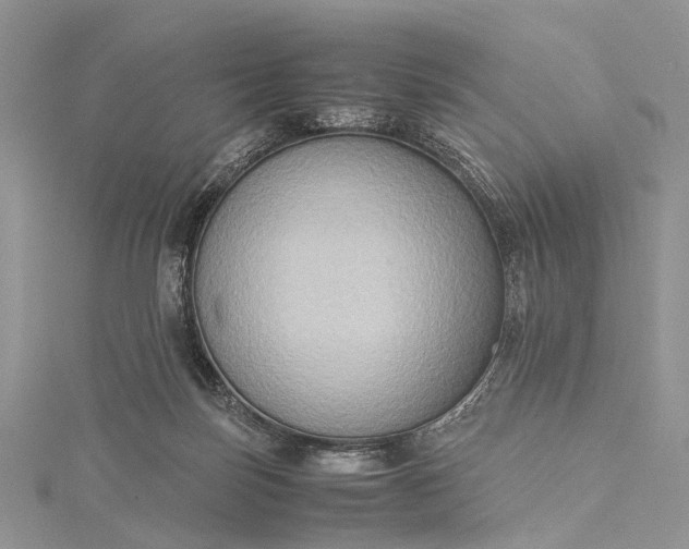 X0000115510171200911201646