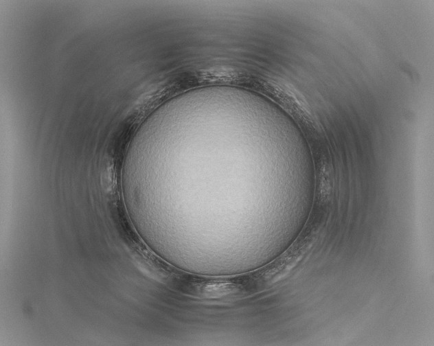 X0000115510173200911201646