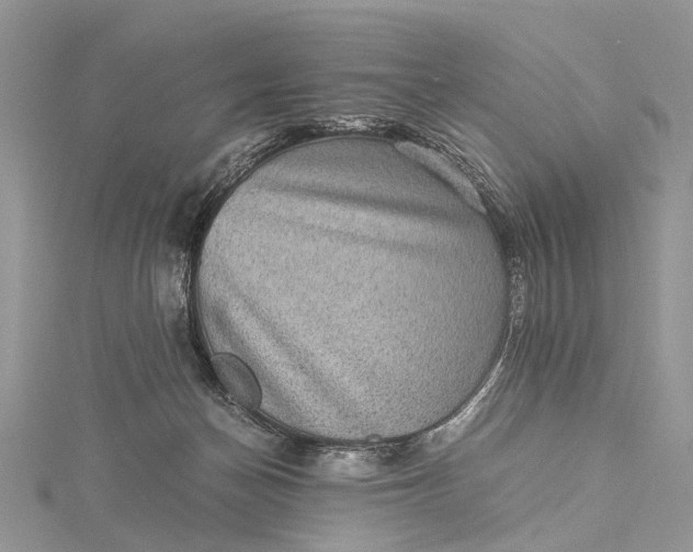 X0000115510174200911201646