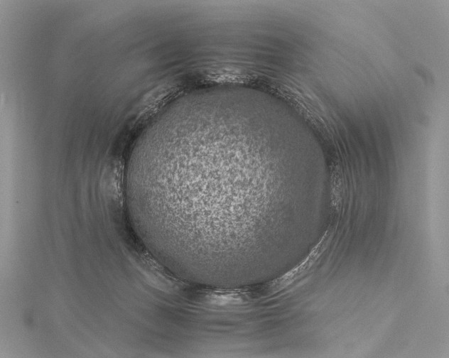 X0000115510175200911201646