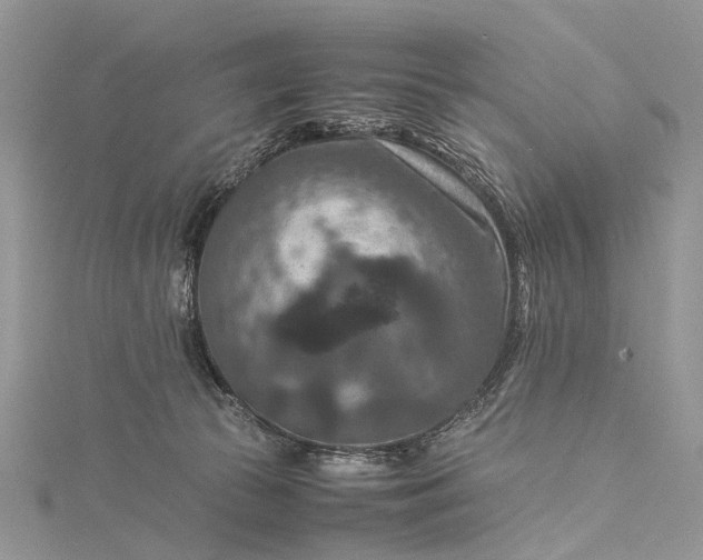 X0000115510177200911201646