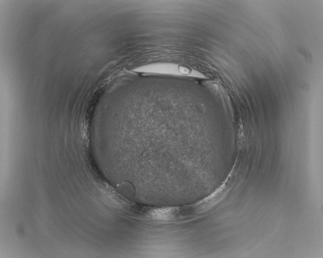 X0000115510178200911201646