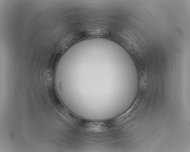 X0000115510179200911201646