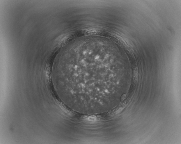 X0000115510181200911201646