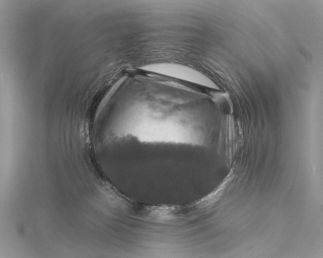 X0000115510182200911201646