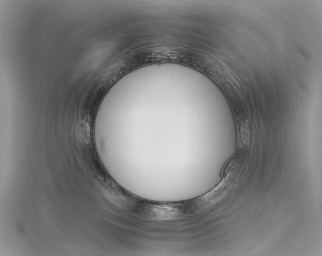 X0000115510183200911201646