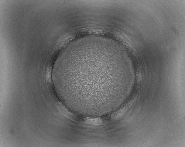 X0000115510185200911201646