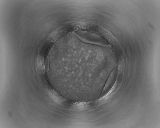 X0000115510186200911201646