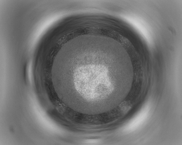 X0000115510189200911201646