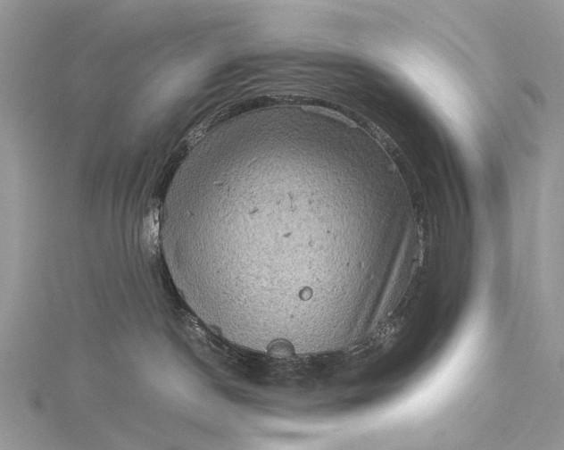 X0000115510190200911201646