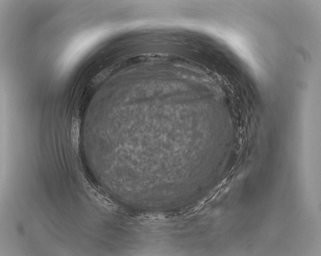 X0000115510194200911201645