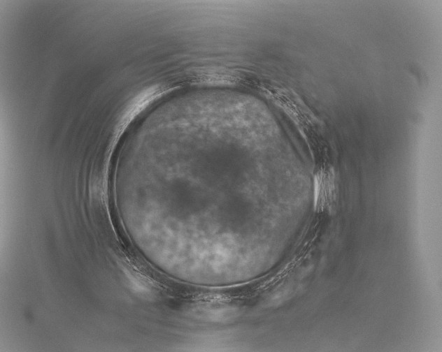 X0000115510195200911201645