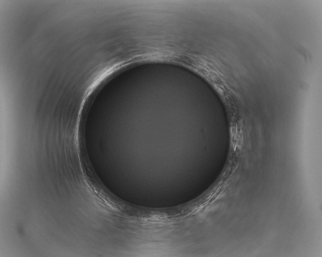 X0000115510196200911201645