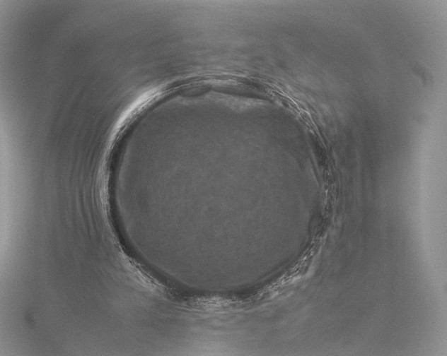 X0000115510197200911201645