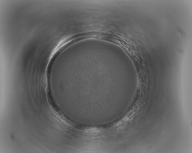 X0000115510198200911201645