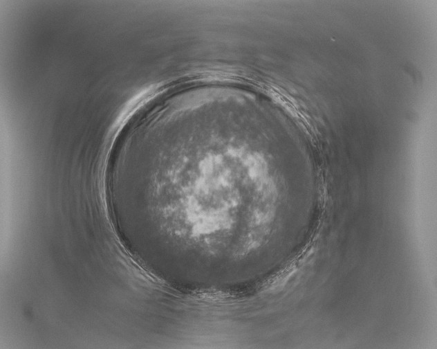 X0000115510199200911201645