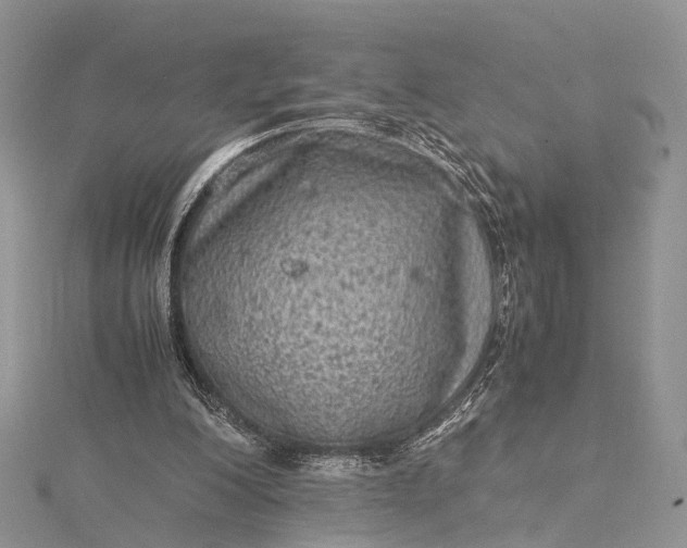 X0000115510200200911201645