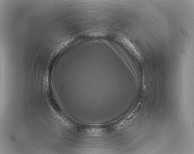 X0000115510202200911201645