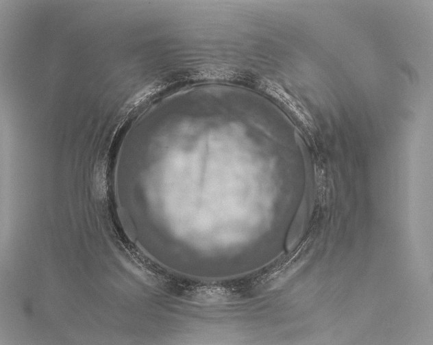 X0000115510203200911201645