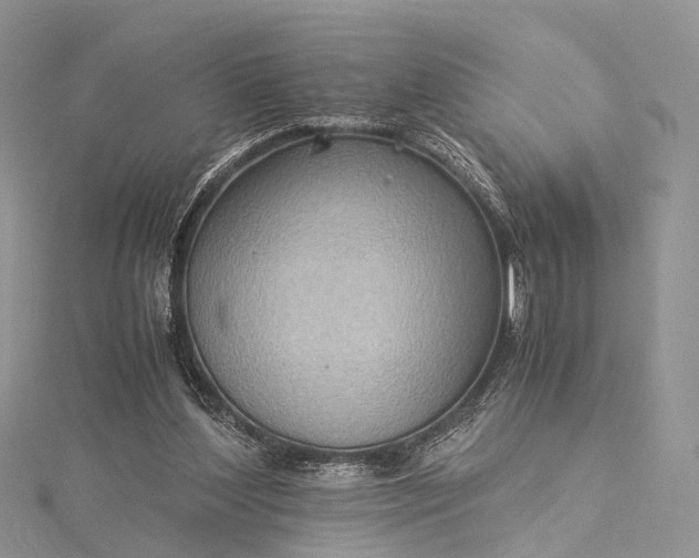 X0000115510204200911201645