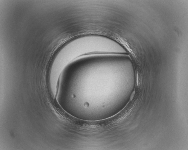 X0000115510205200911201645