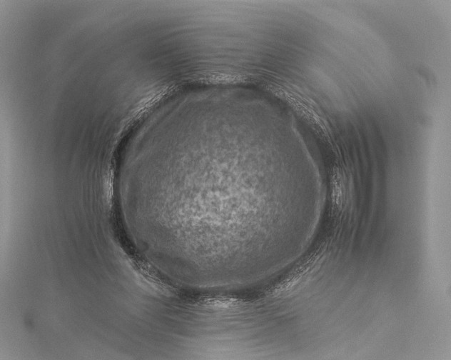 X0000115510206200911201645