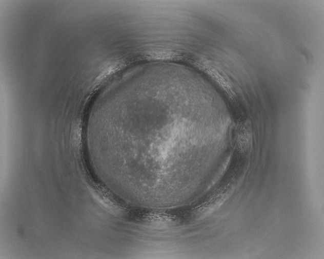 X0000115510207200911201645