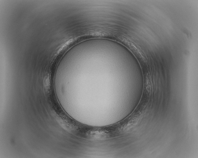 X0000115510208200911201645