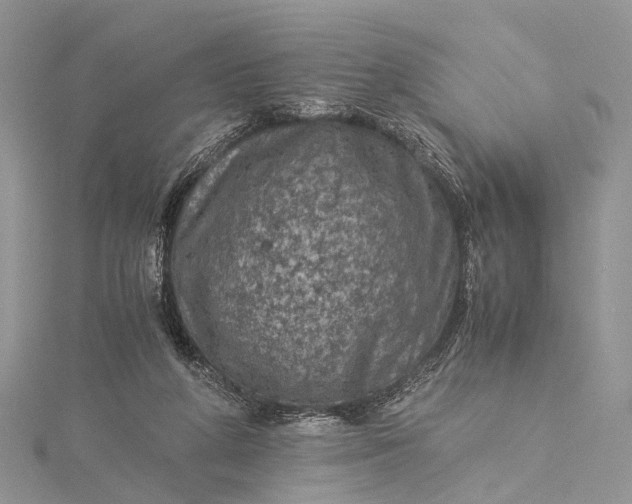 X0000115510210200911201645