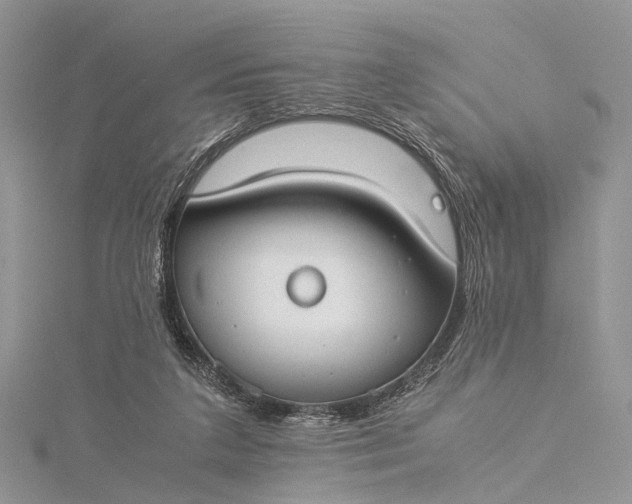 X0000115510211200911201645