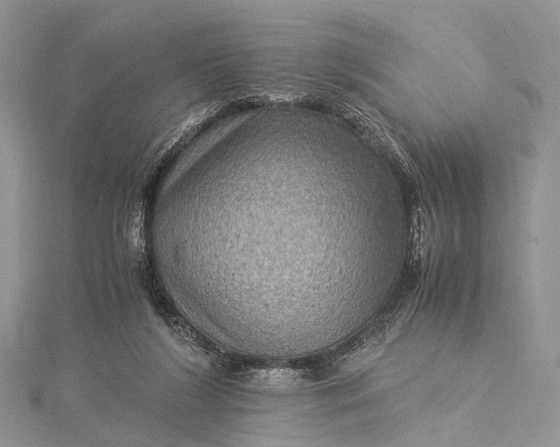 X0000115510212200911201645