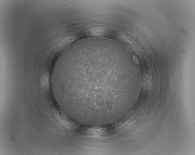 X0000115510213200911201645