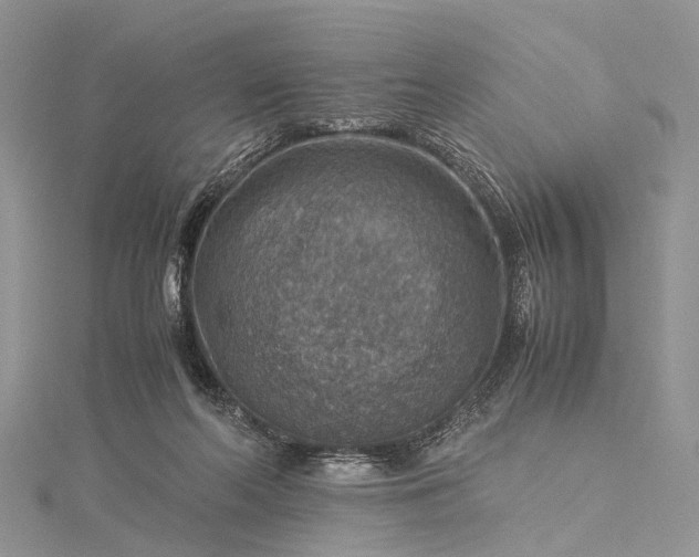 X0000115510214200911201645