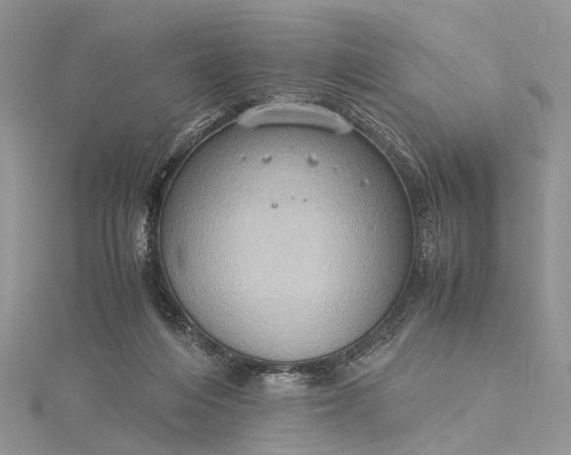 X0000115510216200911201645