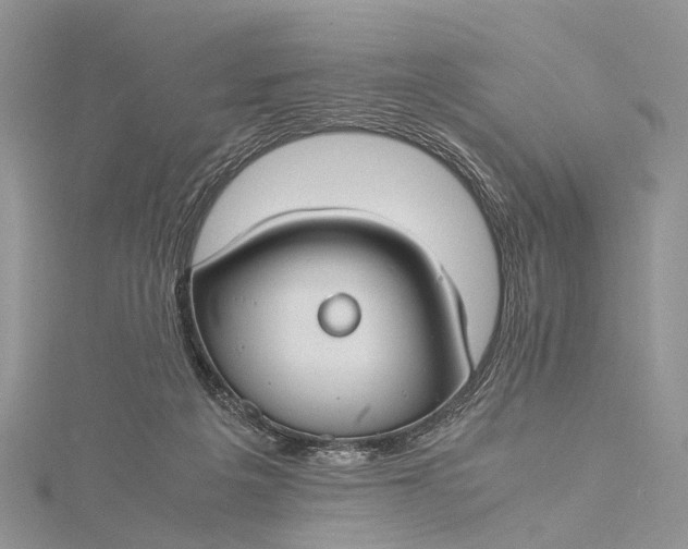 X0000115510217200911201645