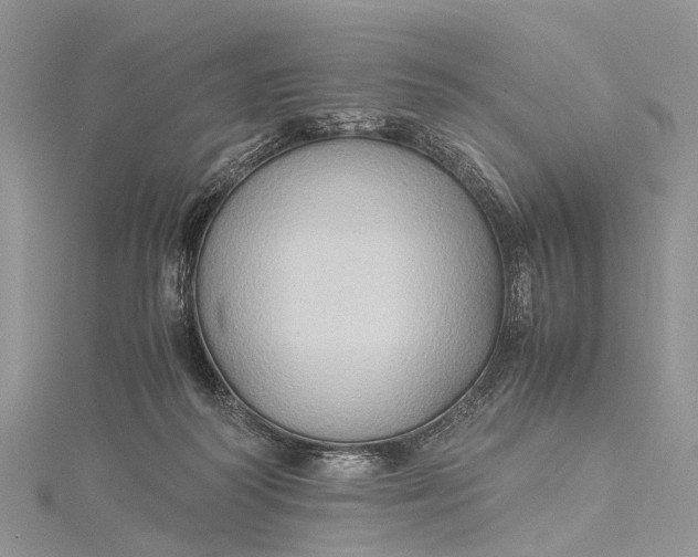 X0000115510218200911201645