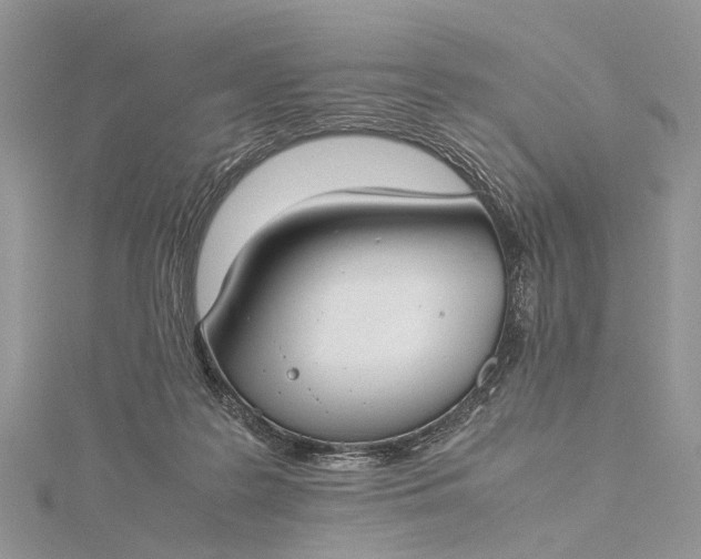 X0000115510219200911201645