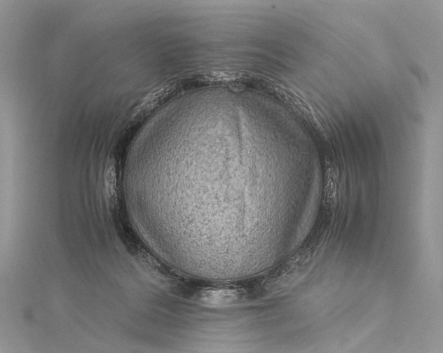 X0000115510220200911201645