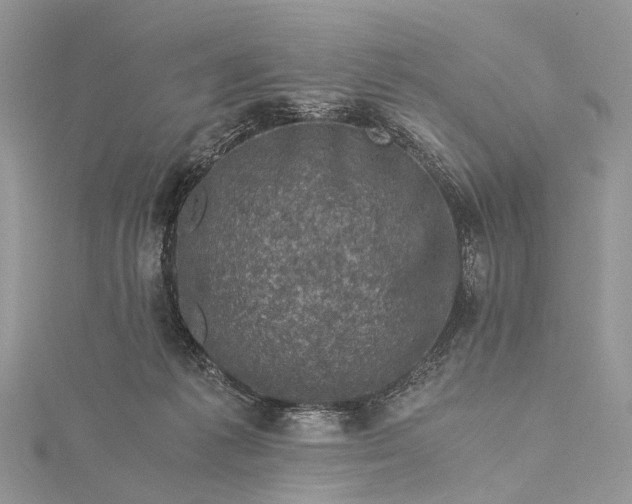 X0000115510221200911201645