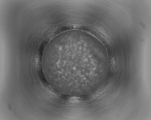 X0000115510222200911201645