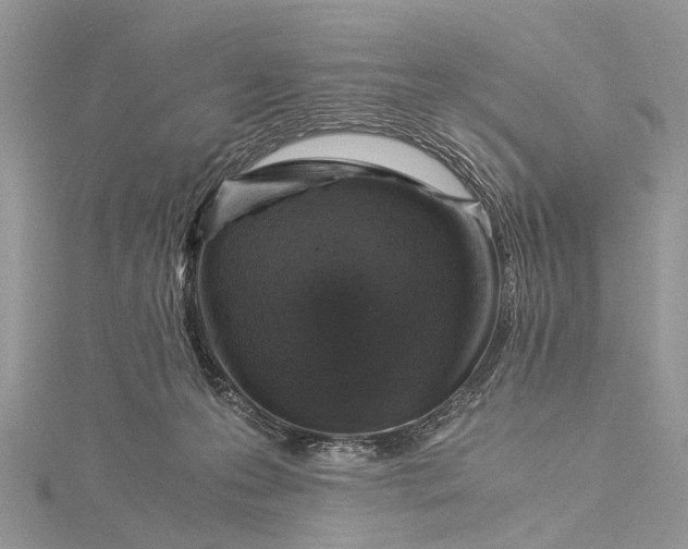 X0000115510223200911201645