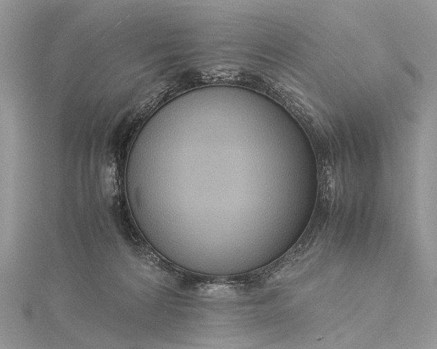 X0000115510224200911201645