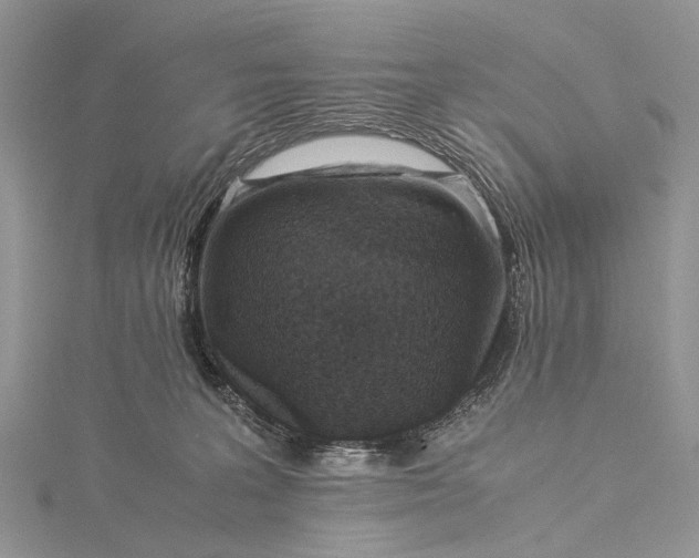 X0000115510227200911201645