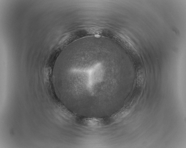 X0000115510229200911201645