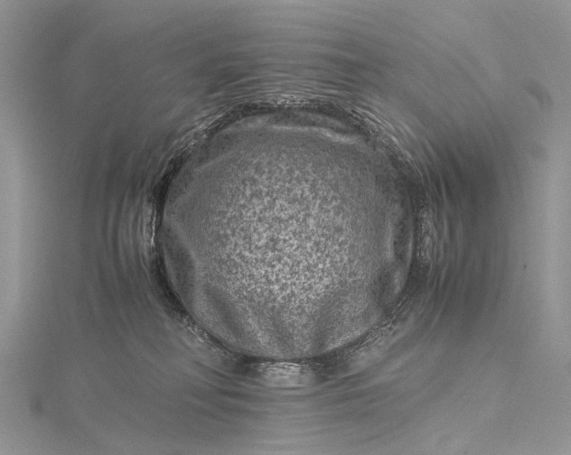 X0000115510230200911201645