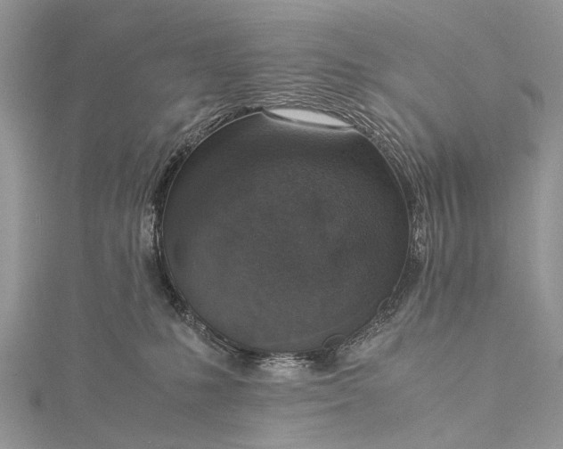 X0000115510231200911201645